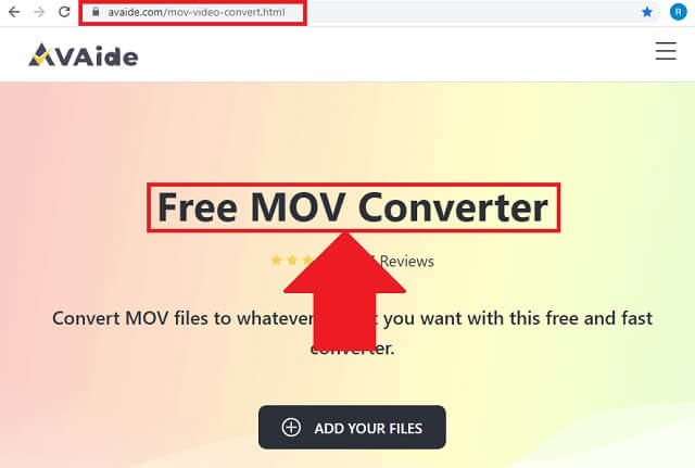 MOV M4A AVAide Access Website
