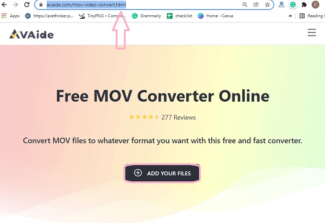Xvid MOV Online