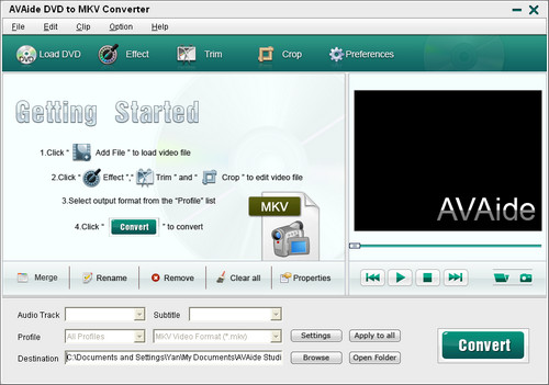 DVD to MKV Converter