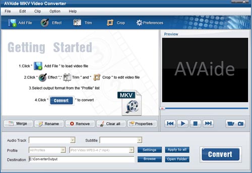 MKV Converter