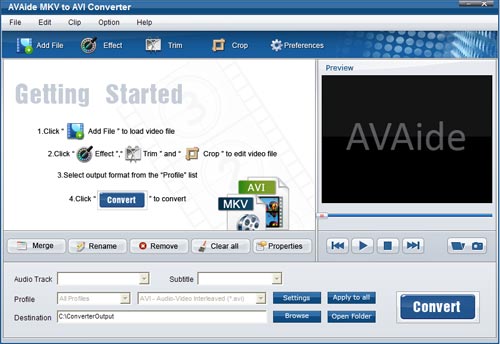 MKV to AVI Converter