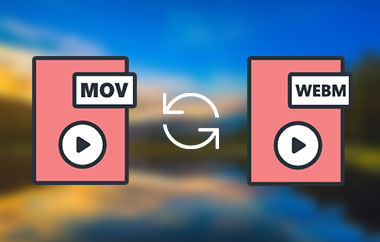 Converti MOV in WEBM