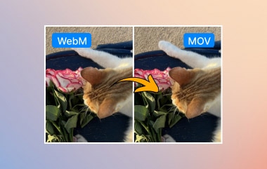 Konvertera WebM till MOV