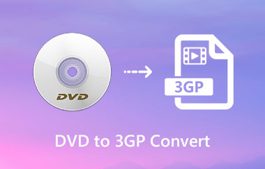 DVD 到 3GP 转换