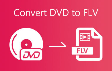 Convertor DVD în FLV
