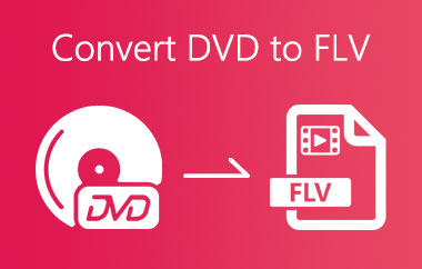 DVD naar FLV-converter