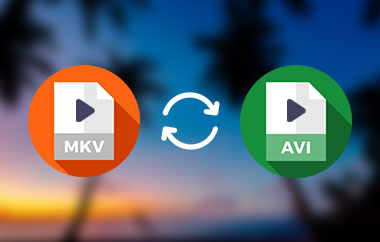 MKV naar AVI-converter