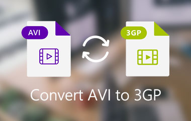 Converti AVI in 3GP