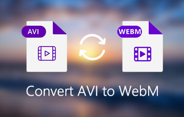 Convertiți AVI în WebM