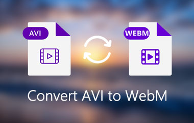 Converti AVI in WebM