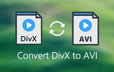 Convertiți DivX în AVI