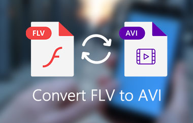 Converti FLV in AVI