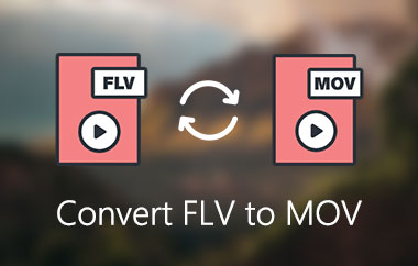 Comvert FLV To MOV