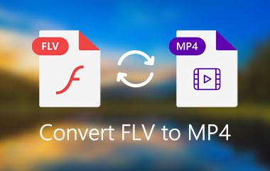 Convertiți FLV în MP4