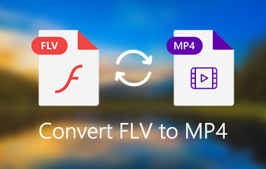 Converti FLV in MP4