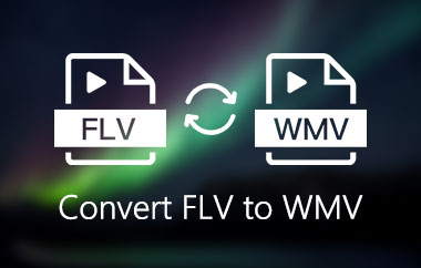 Convertiți FLV în WMV