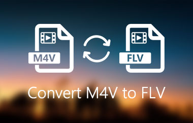 Converti M4V in FLV