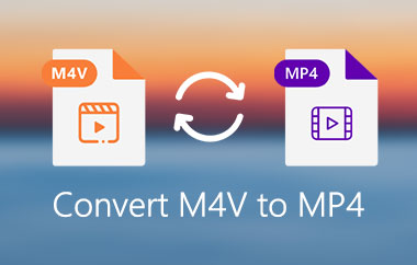 Convertir M4V en MP4