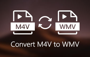 Convertir M4V a WMV