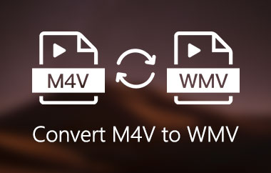 Converti M4V in WMV