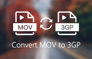 Converti MOV in 3GP