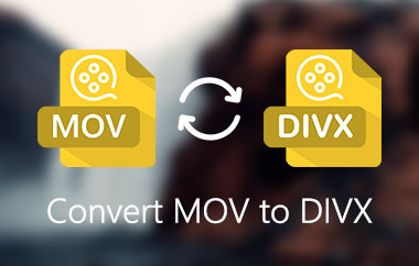 Converteer MOV naar DivX