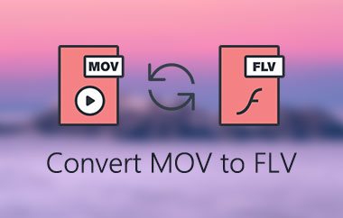 Convertir MOV en FLV