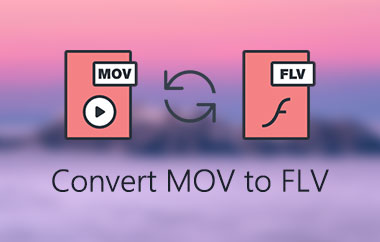 Converti MOV in FLV