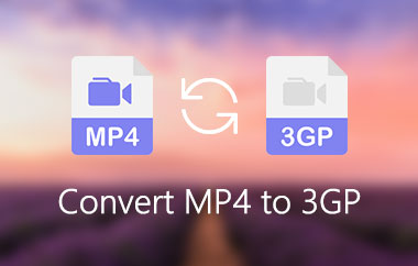 Converti MP4 in 3GP