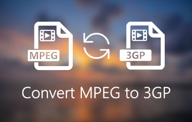 CONVERTĂ MPEG în 3GP