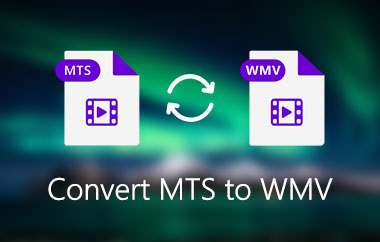 MTS M2TS를 WMV로 변환