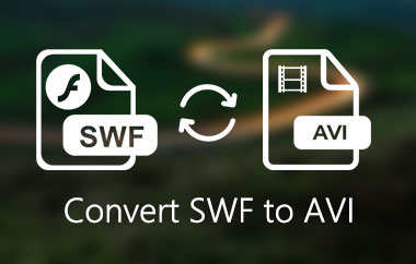 Convertiți SWF în AVI