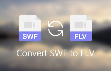 Convertiți SWF în FLV