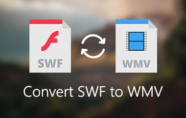 Konvertera SWF till WMV