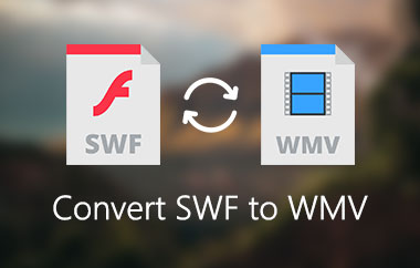 Converti SWF in WMV