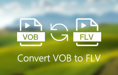 Convert VOB To FLV