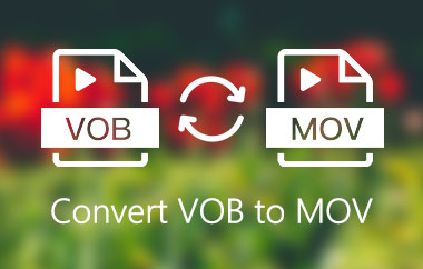 Convertir VOB en MOV
