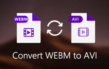 Convertiți WebM în AVI