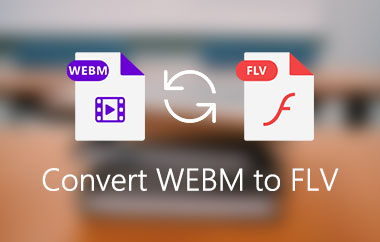 Converter WebM para FLV