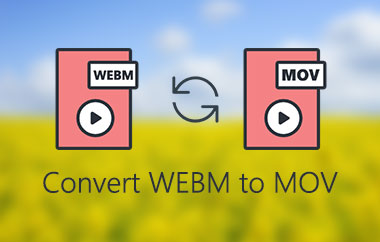 Converteer WebM naar MOV