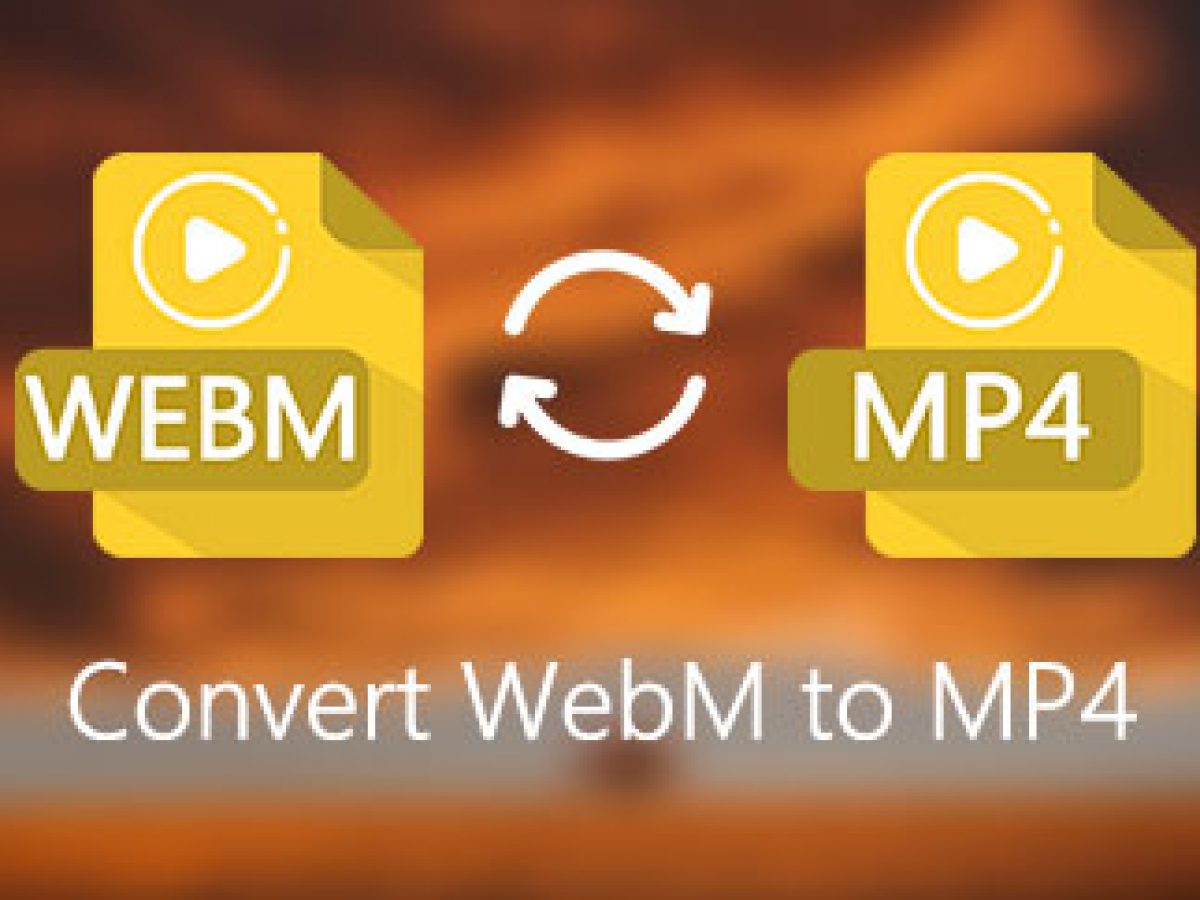 Файлы webm в mp4. Файлы webm в mp4