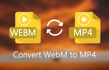 WebM을 MP4로 변환