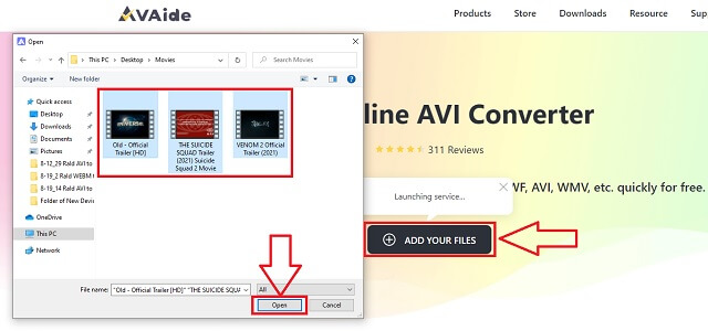 FLV AVI AVAide Import souborů