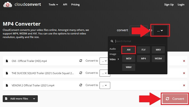 Převod formátu FLV AVI CloudConvert