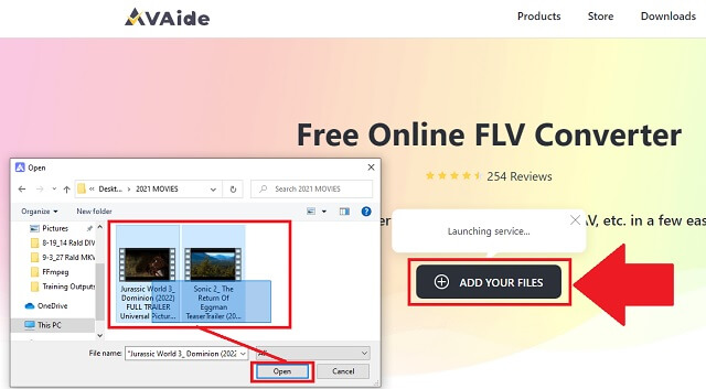 MKV FLV AVAide Add Files