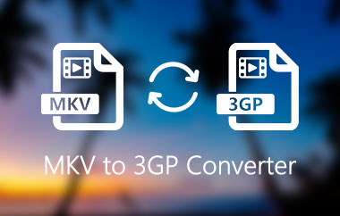 MKV to 3GP konverter