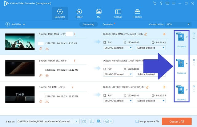 Output Semakan MPEG FLV AVAide