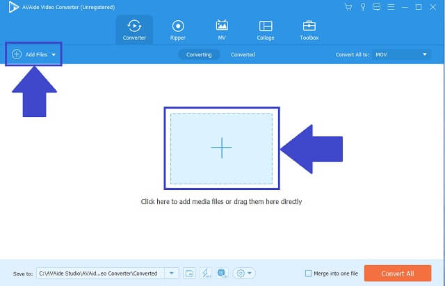 MPEG FLV AVAide Importer filer