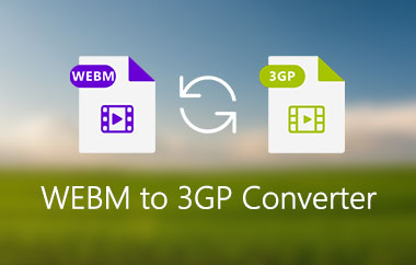 WebM 3GP-konverterare