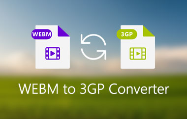 WebM 3GP-converter